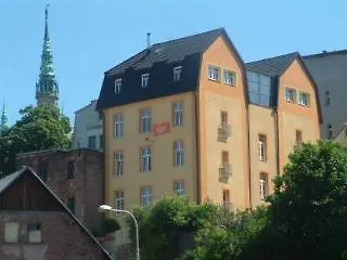 Salvia